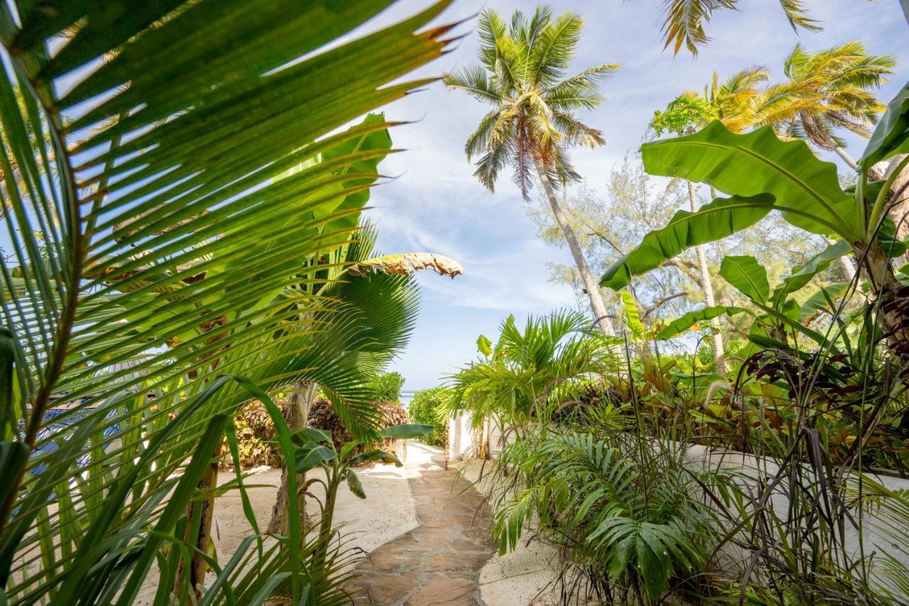 Appartement Surfescape Zanzibar à Kiwengwa  Extérieur photo